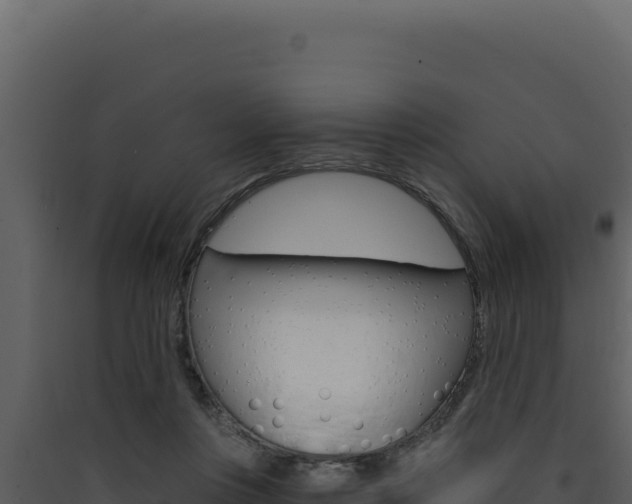 X0000090440359200707131035