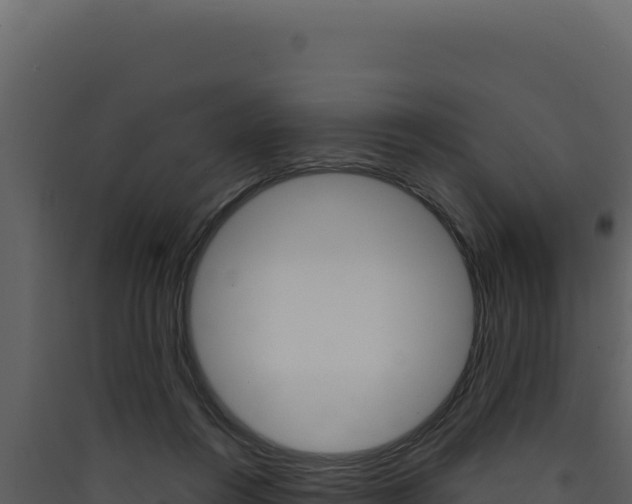 X0000090440360200707131035