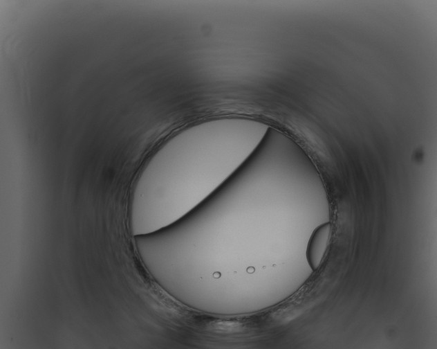 X0000090440361200707131035