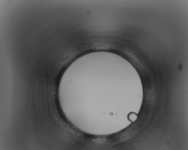 X0000090440362200707131035