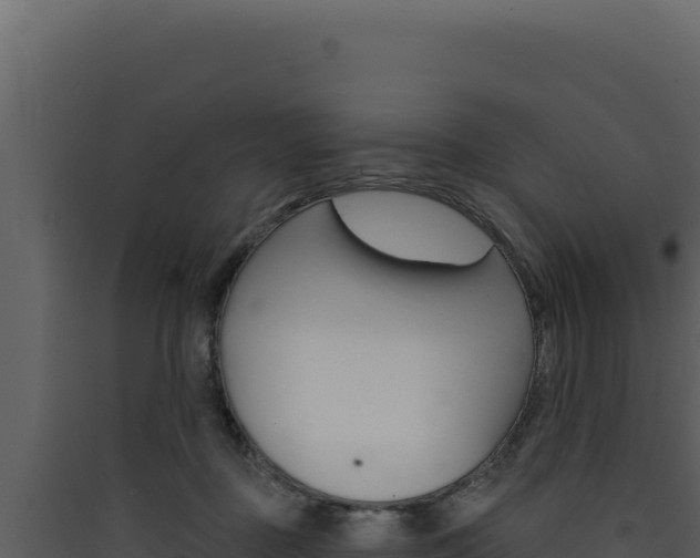 X0000090440363200707131035