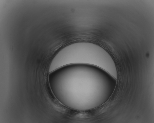 X0000090440364200707131035