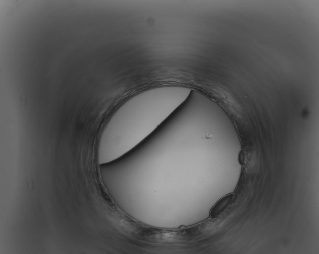 X0000090440365200707131035