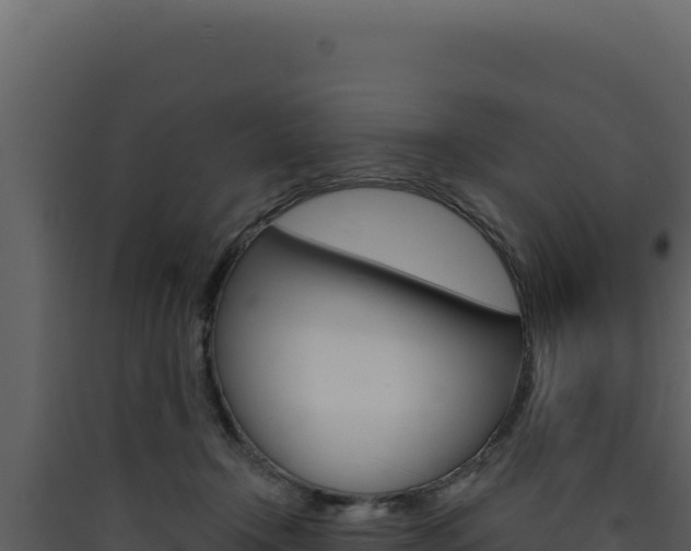X0000090440366200707131035