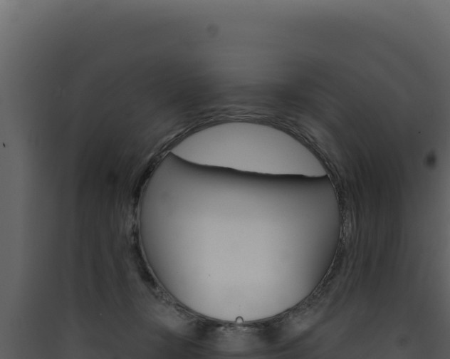X0000090440367200707131035