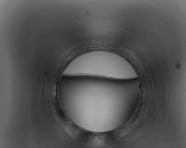 X0000090440368200707131035