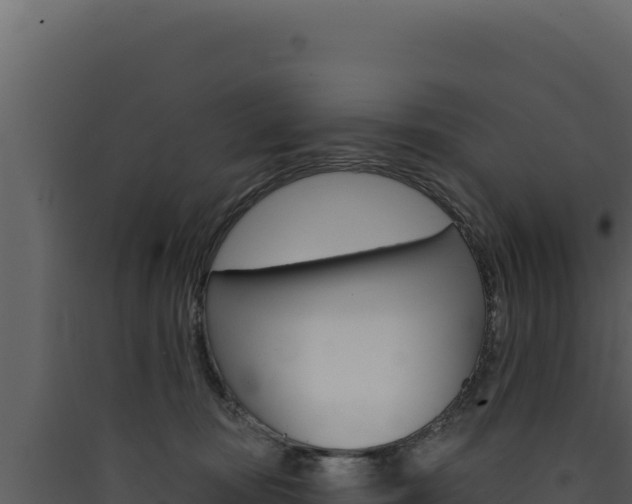 X0000090440371200707131035