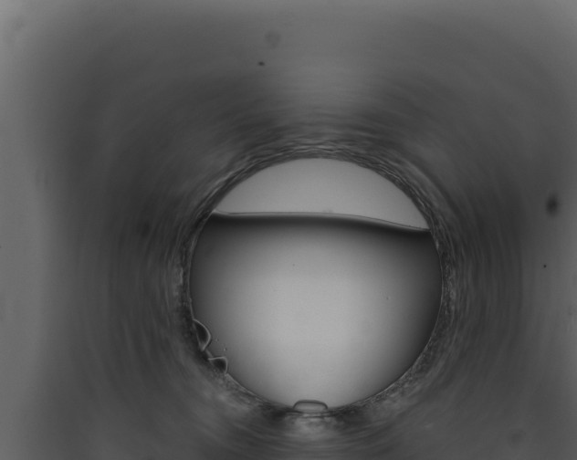 X0000090440372200707131035
