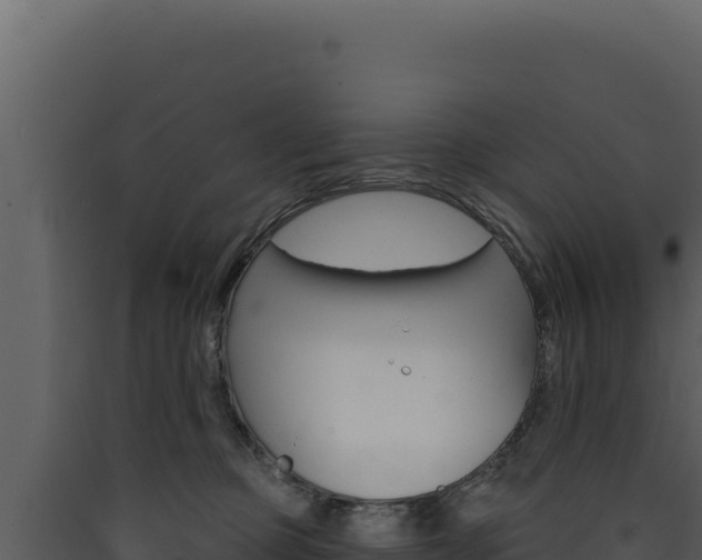 X0000090440373200707131035
