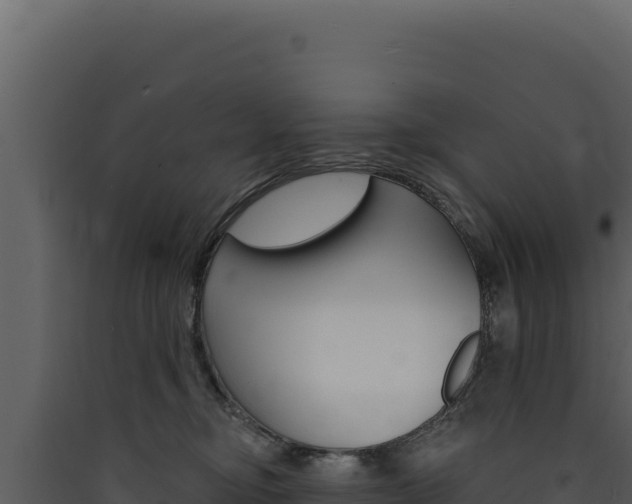 X0000090440374200707131035