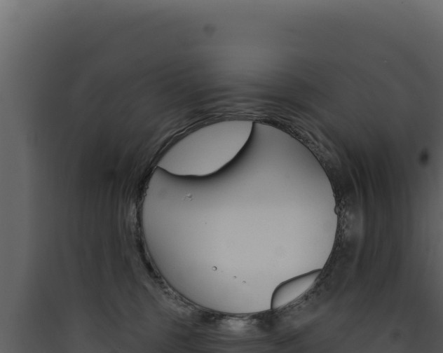 X0000090440375200707131035