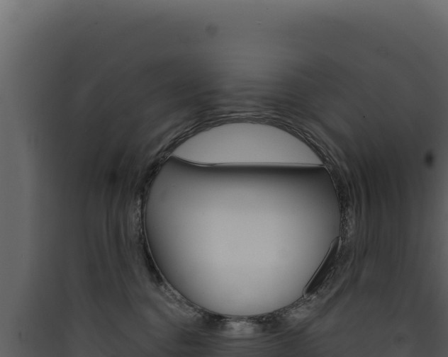 X0000090440376200707131035
