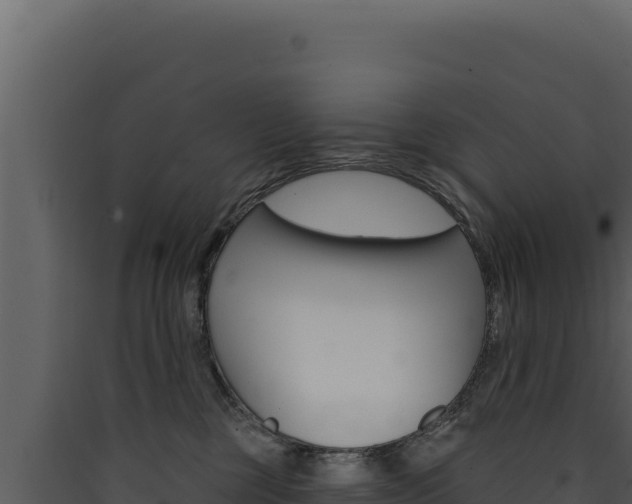 X0000090440377200707131035