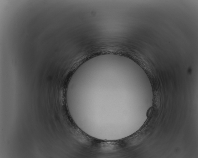 X0000090440378200707131035