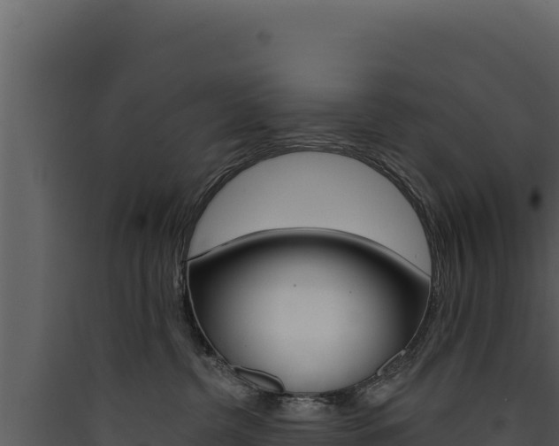 X0000090440380200707131035