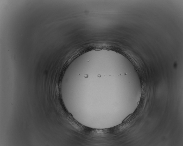 X0000090440381200707131035