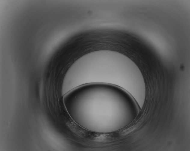 X0000090440382200707131035