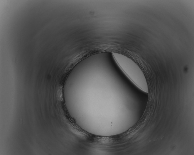 X0000090440383200707131035