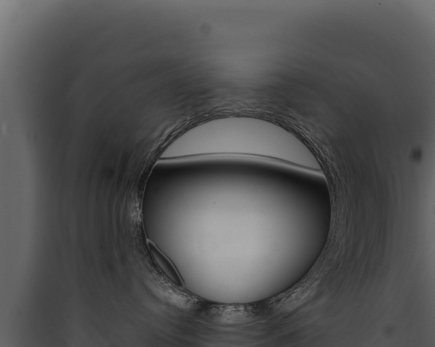 X0000090440384200707131036
