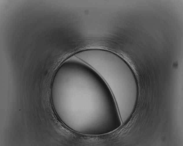 X0000090440385200707131035
