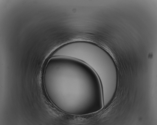 X0000090440387200707131035