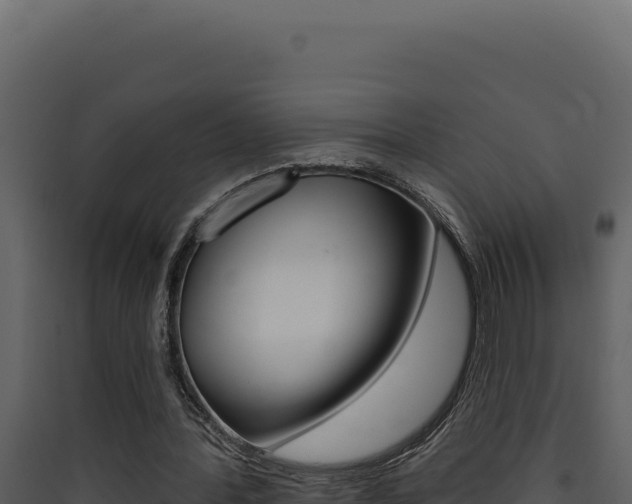 X0000090440388200707131035