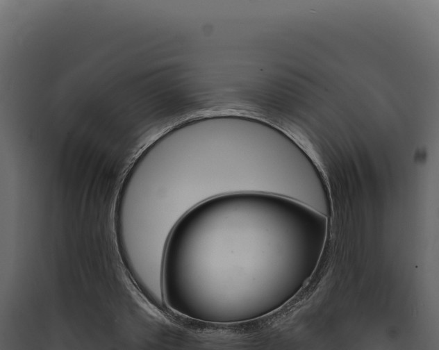 X0000090440389200707131035
