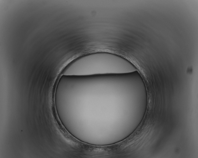 X0000090440390200707131035