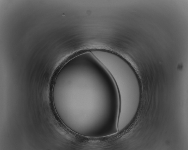 X0000090440391200707131035