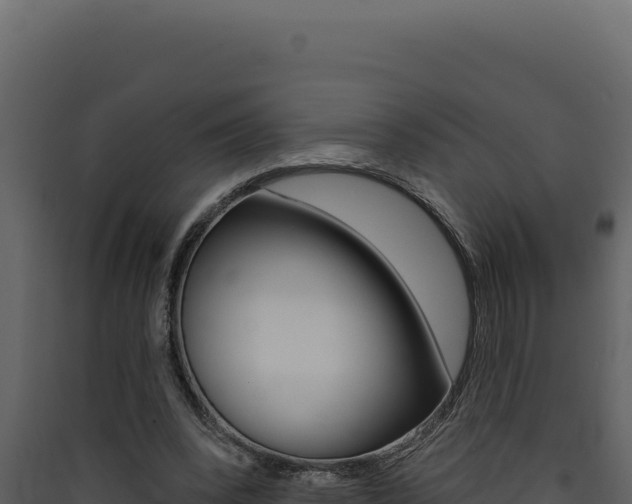 X0000090440392200707131035