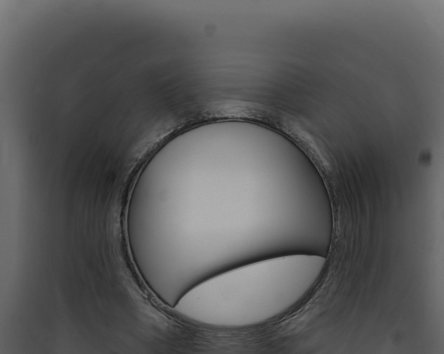X0000090440394200707131035