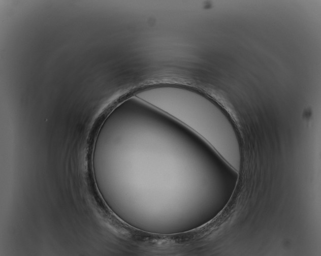 X0000090440395200707131035