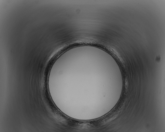 X0000090440396200707131035