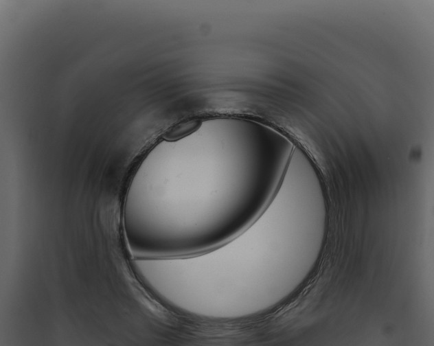 X0000090440397200707131035