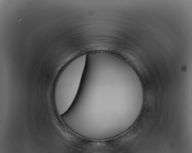 X0000090440398200707131035