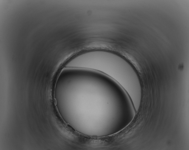 X0000090440399200707131035