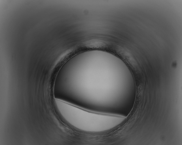 X0000090440400200707131035