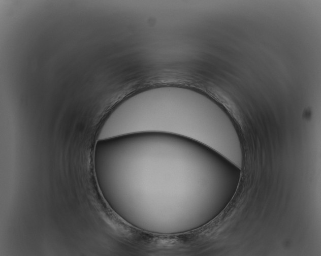 X0000090440401200707131035