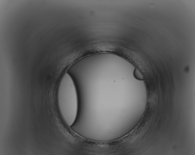 X0000090440402200707131034