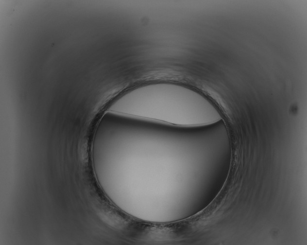 X0000090440403200707131034