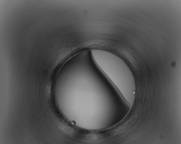 X0000090440404200707131034