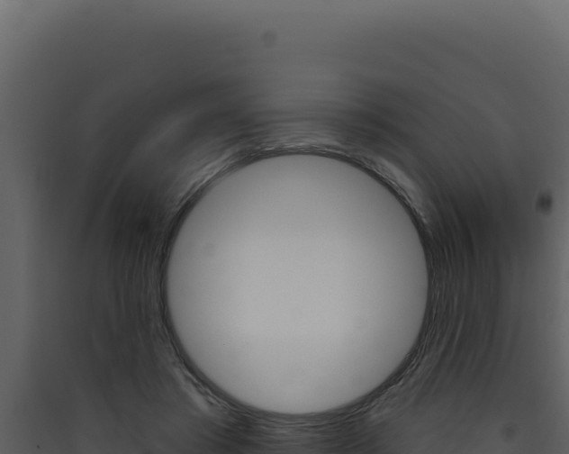 X0000090440405200707131034