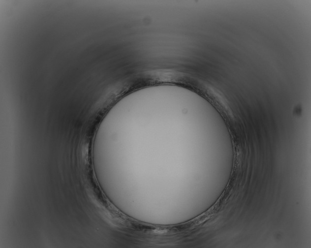 X0000090440406200707131034