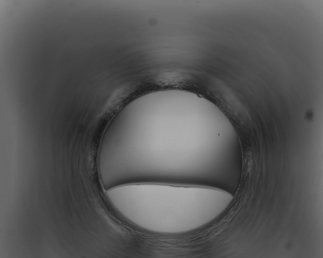 X0000090440408200707131034