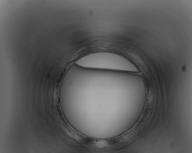 X0000090440409200707131034