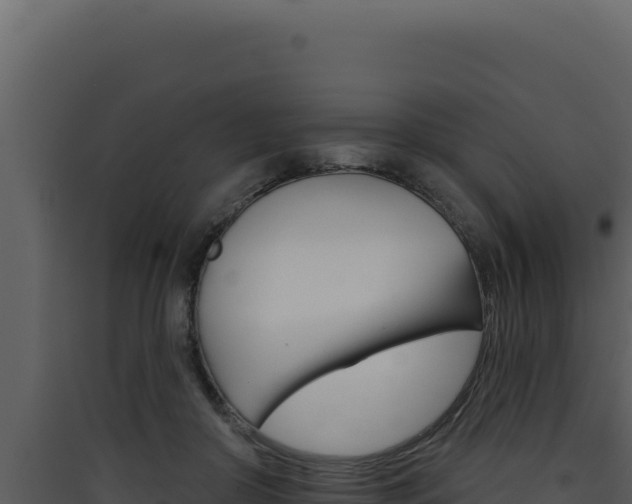 X0000090440410200707131034