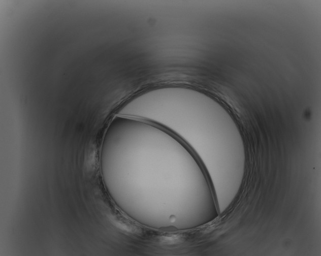 X0000090440411200707131034
