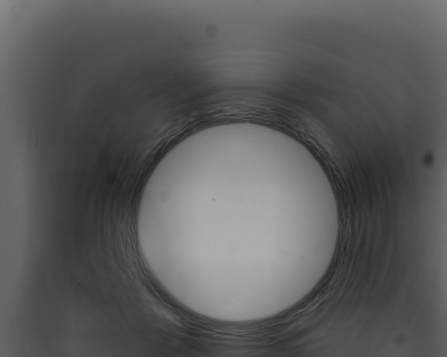 X0000090440412200707131034