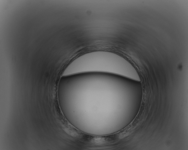 X0000090440413200707131034
