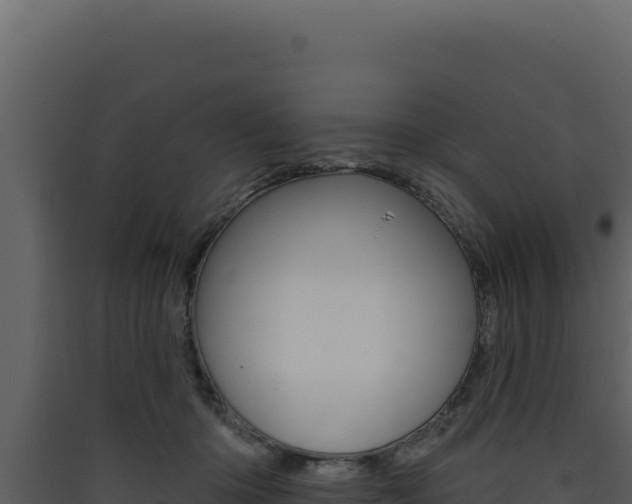 X0000090440414200707131034